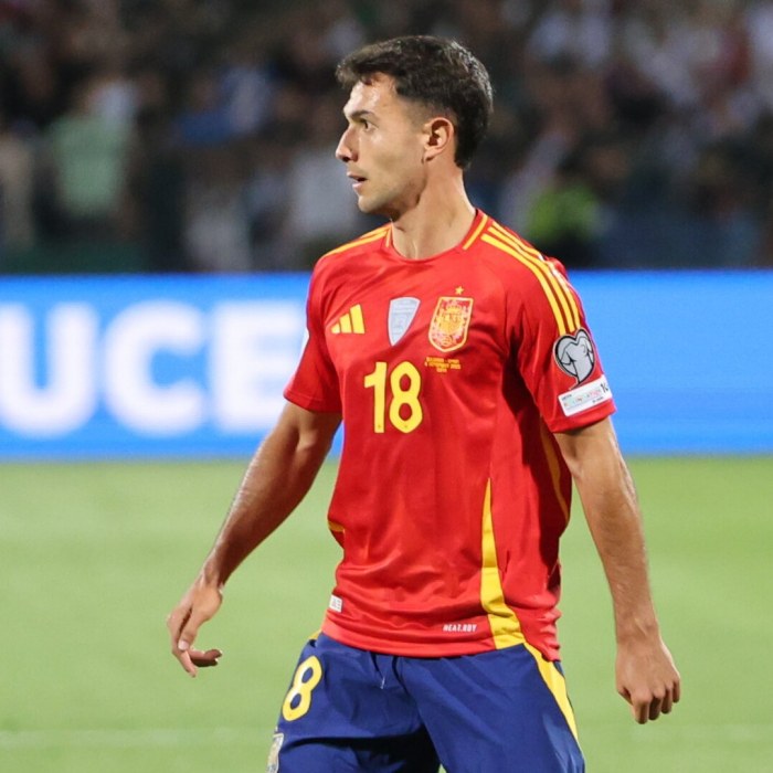 Martín Zubimendi