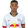 Tyler Adams